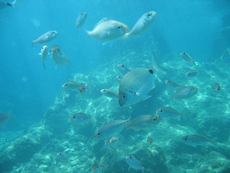 Crete: hiking, diving and exploring ancient remains