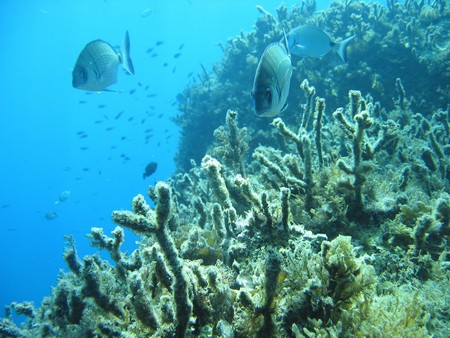 Crete: hiking, diving and exploring ancient remains