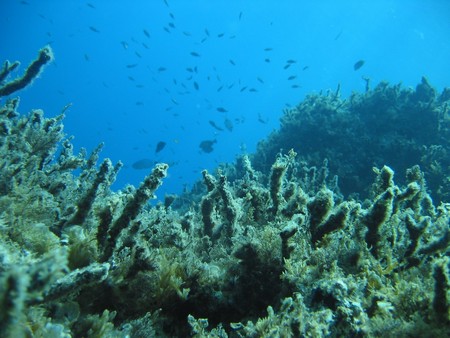 Crete: hiking, diving and exploring ancient remains