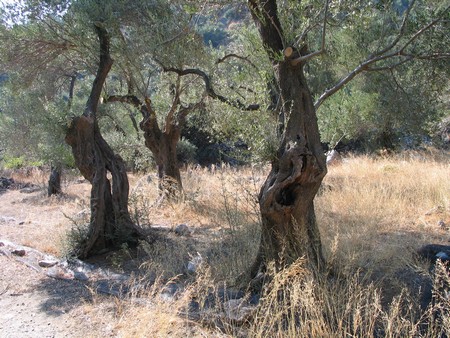 Crete: hiking, diving and exploring ancient remains