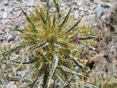 Crete: hiking, diving and exploring ancient remains