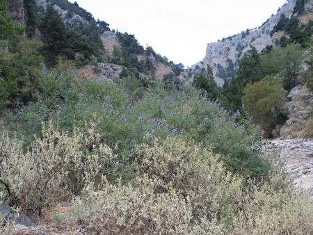 Crete: hiking, diving and exploring ancient remains