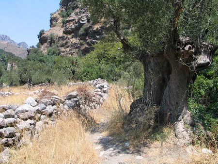 Crete: hiking, diving and exploring ancient remains