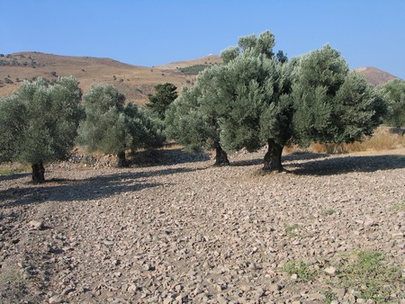 Crete: hiking, diving and exploring ancient remains