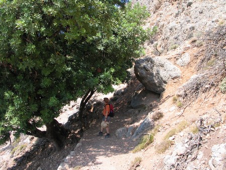 Crete: hiking, diving and exploring ancient remains