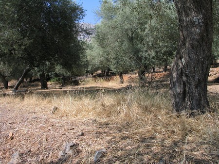Crete: hiking, diving and exploring ancient remains