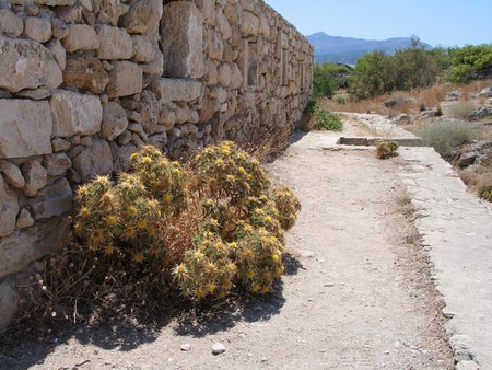 Crete: hiking, diving and exploring ancient remains