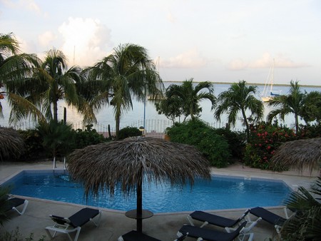 Diving, mostly on Bonaire