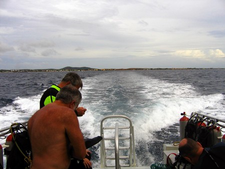 Diving, mostly on Bonaire