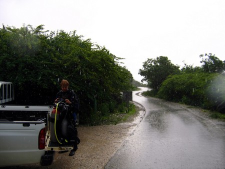 Diving, mostly on Bonaire