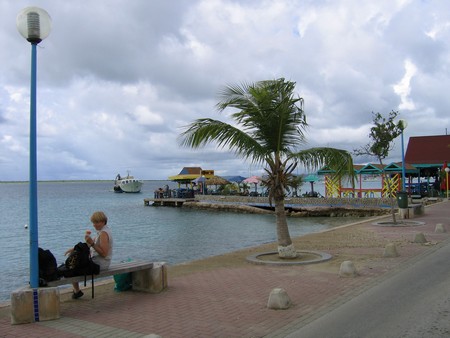 Diving, mostly on Bonaire