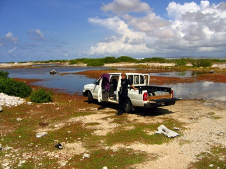 Diving, mostly on Bonaire
