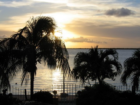 Diving, mostly on Bonaire