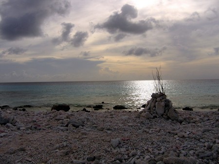 Diving, mostly on Bonaire