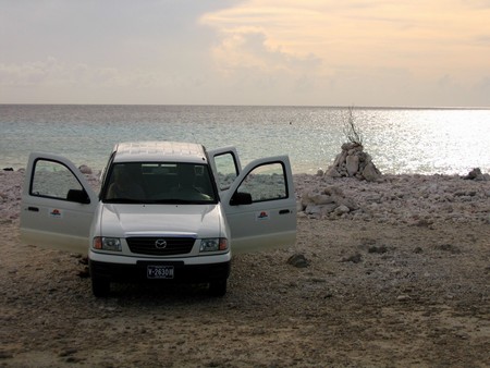 Diving, mostly on Bonaire