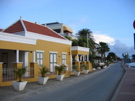 Diving, mostly on Bonaire