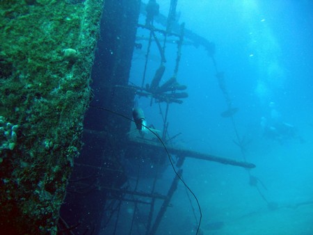 Diving, mostly on Bonaire