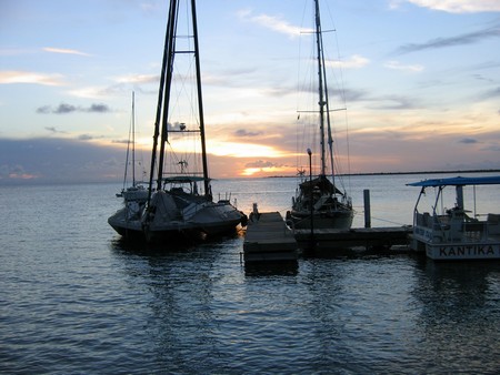 Diving, mostly on Bonaire