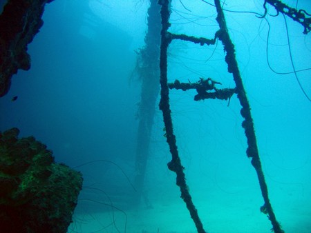 Diving, mostly on Bonaire