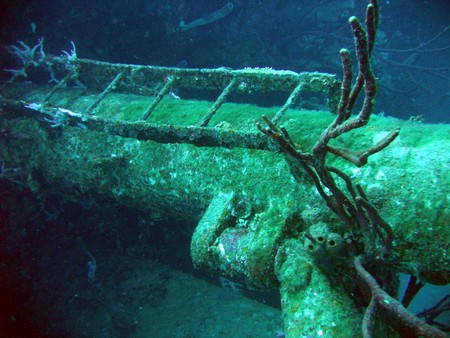 Diving, mostly on Bonaire