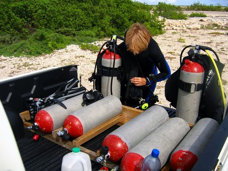Diving, mostly on Bonaire