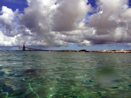Diving, mostly on Bonaire