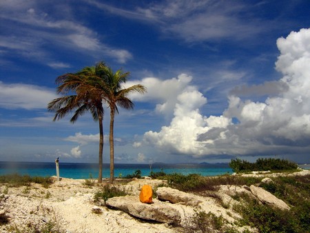 Diving, mostly on Bonaire