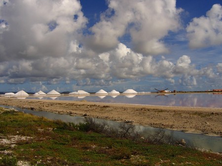 Diving, mostly on Bonaire