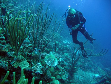 Diving, mostly on Bonaire