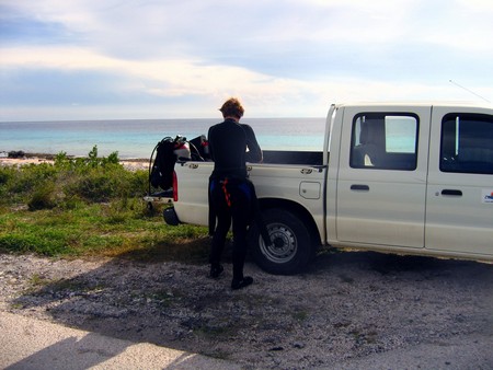 Diving, mostly on Bonaire