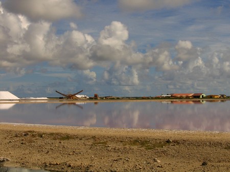 Diving, mostly on Bonaire