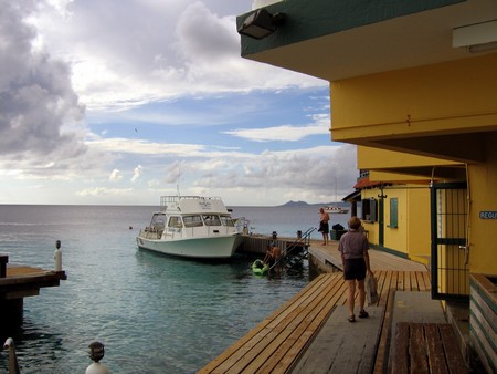 Diving, mostly on Bonaire