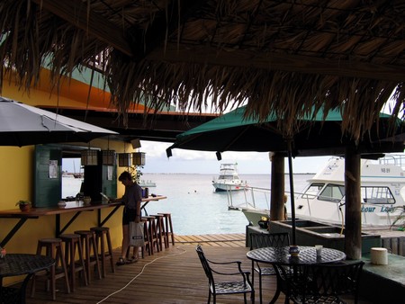 Diving, mostly on Bonaire