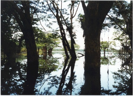 Ecuador, Amazon to the Galapagos