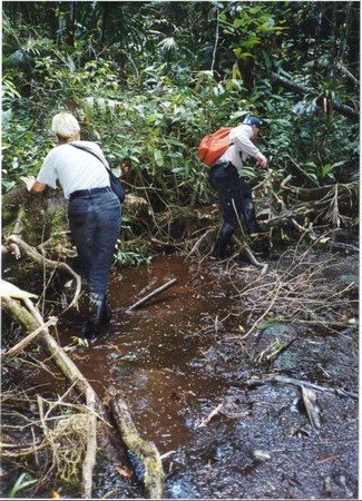 Ecuador, Amazon to the Galapagos