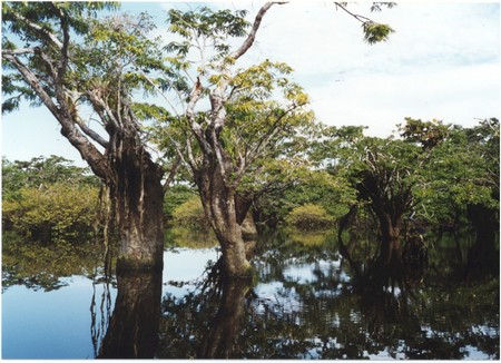 Ecuador, Amazon to the Galapagos