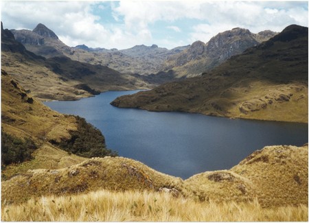 Ecuador, Amazon to the Galapagos