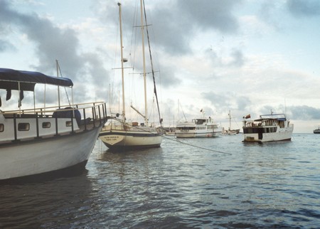 Ecuador, Amazon to the Galapagos