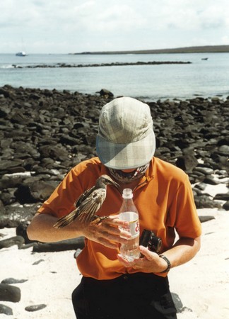 Ecuador, Amazon to the Galapagos