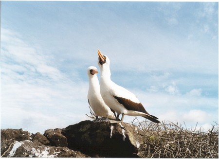 Ecuador, Amazon to the Galapagos