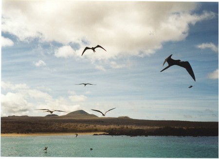 Ecuador, Amazon to the Galapagos