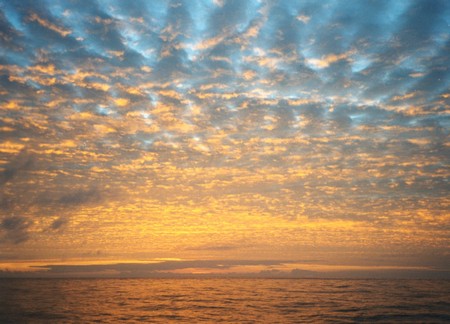 Ecuador, Amazon to the Galapagos