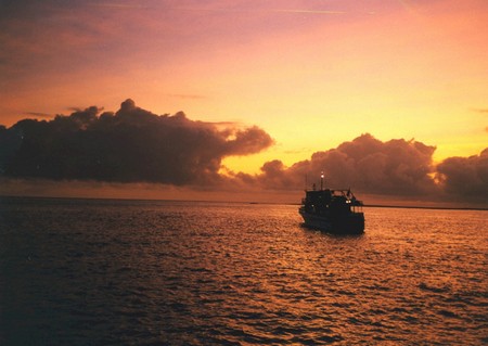 Ecuador, Amazon to the Galapagos