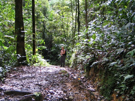 A journey through the heart of Malaysia. From the bustling streets of Kuala Lumpur to the unmatched diving of Sipidan, and the lush rainforests of Borneo.
