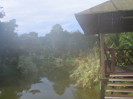 A journey through the heart of Malaysia. From the bustling streets of Kuala Lumpur to the unmatched diving of Sipidan, and the lush rainforests of Borneo.