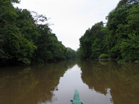 A journey through the heart of Malaysia. From the bustling streets of Kuala Lumpur to the unmatched diving of Sipidan, and the lush rainforests of Borneo.