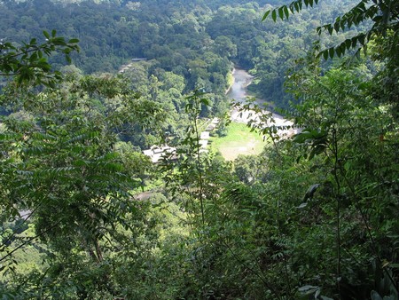A journey through the heart of Malaysia. From the bustling streets of Kuala Lumpur to the unmatched diving of Sipidan, and the lush rainforests of Borneo.