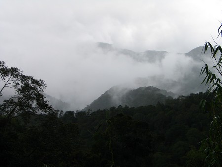 A journey through the heart of Malaysia. From the bustling streets of Kuala Lumpur to the unmatched diving of Sipidan, and the lush rainforests of Borneo.