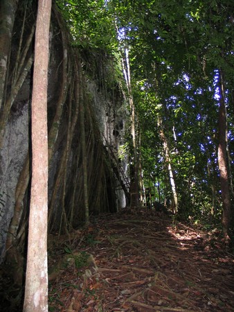 A journey through the heart of Malaysia. From the bustling streets of Kuala Lumpur to the unmatched diving of Sipidan, and the lush rainforests of Borneo.