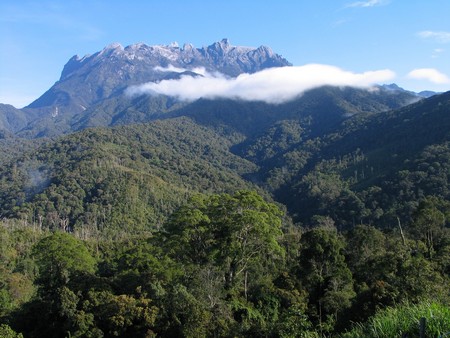 A journey through the heart of Malaysia. From the bustling streets of Kuala Lumpur to the unmatched diving of Sipidan, and the lush rainforests of Borneo.